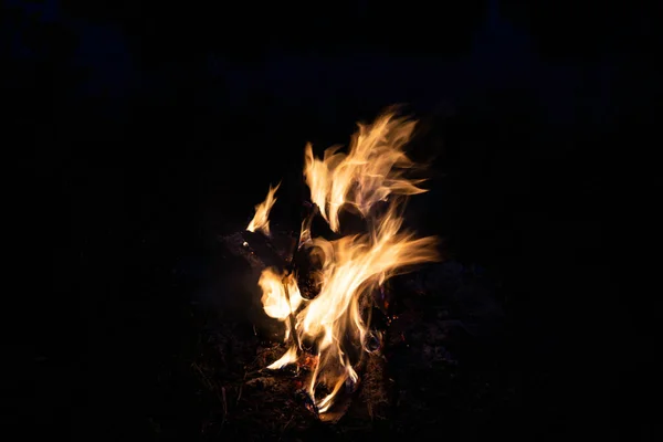 Tűz Tűz Füst Természet Hátterében — Stock Fotó