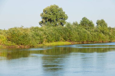 Avrupa manzarası, nehir, mavi gökyüzü yeşil ağaçlar üzerinde.