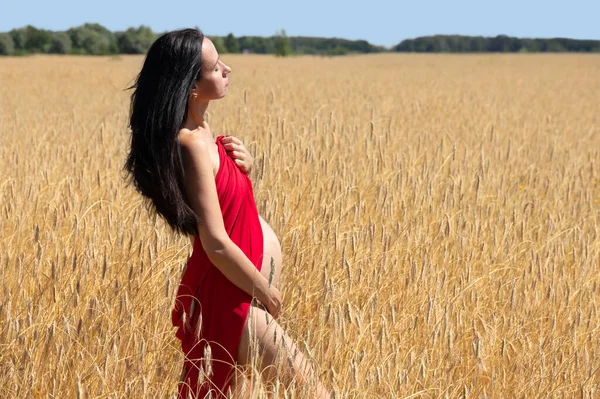 Una Mujer Embarazada Con Vestido Rojo Campo Con Trigo Maduración — Foto de Stock