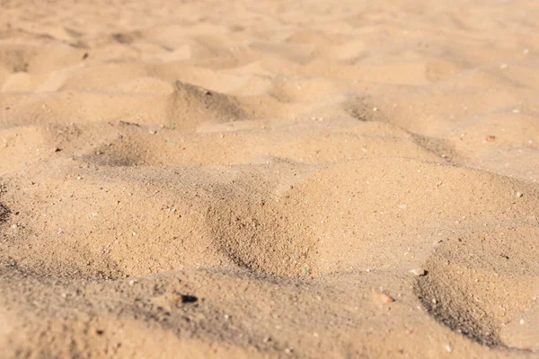 Vollbild Aufnahme Nahaufnahme Der Sandstruktur Strand Sommer — Stockfoto