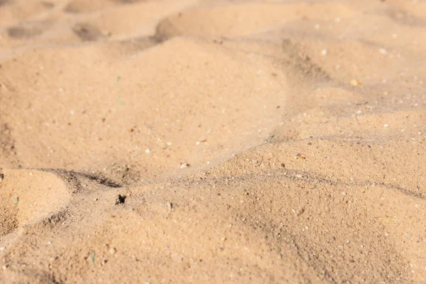 Vollbild Aufnahme Nahaufnahme Der Sandstruktur Strand Sommer — Stockfoto