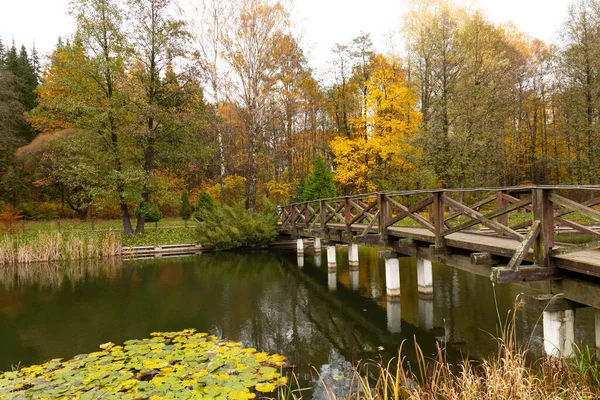 Puente Madera Sobre Río Estanque Parque Europeo — Foto de Stock