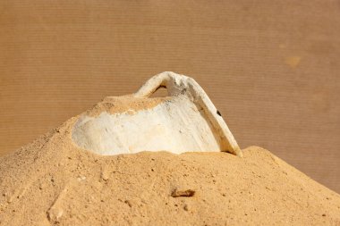 Kuma gömülü kilden bir sürahi.