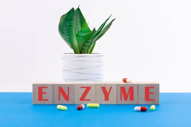 mavi arkaplandaki küplere enzim konsepti
