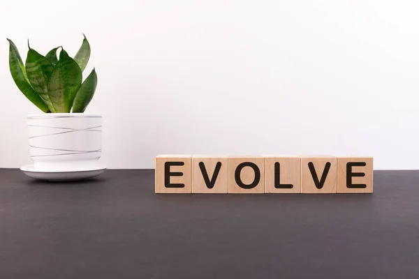 Işık arkaplanındaki yapı taşlarıyla yapılmış EVOLVE sözcüğü