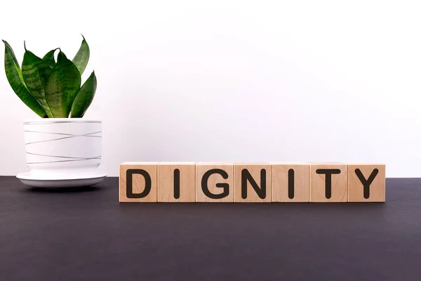 Dignity Szó Készült Építőelemek Egy Könnyű Háttér — Stock Fotó