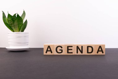 AGENDA sözcüğü hafif bir zemin üzerinde tahta yapı taşlarından yapılmıştır.