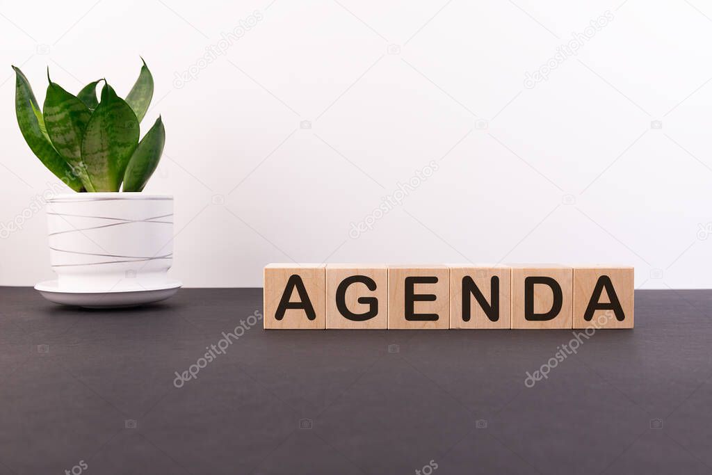 The word AGENDA made of wooden building blocks on a light background