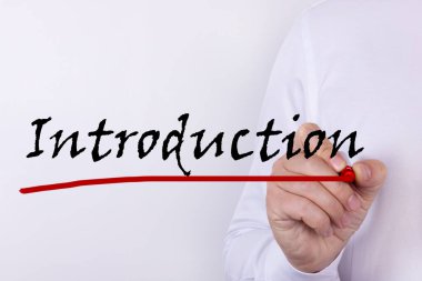 Kırmızı kalemli el yazısı girişi. İş, teknoloji, internet kavramı.