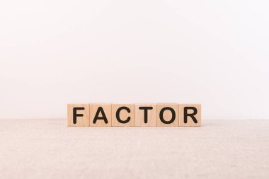 Ahşap bloklardan yapılmış çok etkileyici ya da çekici bir kelime, faktör kavramı, beyaz arka plan.