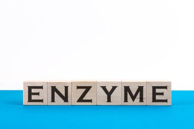 ENZYME sözcüğü mavi arkaplandaki yapı taşlarıyla yapıldı