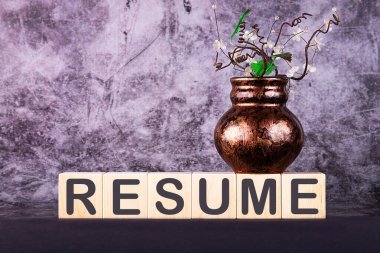 Gri bir arkaplanda tahta bloğa yazılmış özgeçmiş