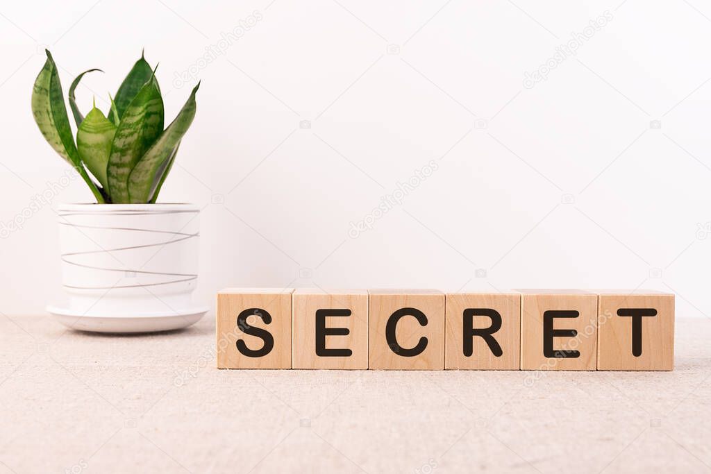 SECRET word written on wooden cubes on a light background