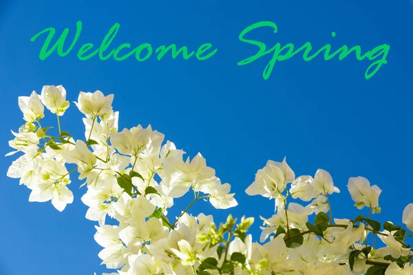 Tekst Welcome Spring Łonie Natury Nieba — Zdjęcie stockowe