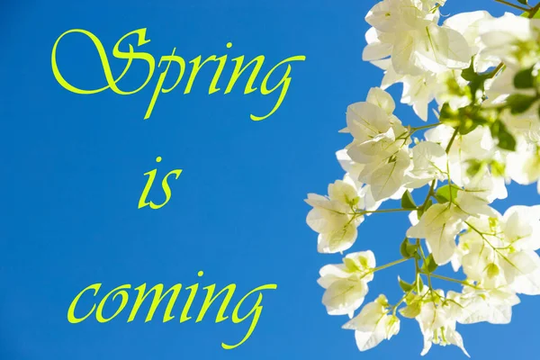 Tekst Spring Nadchodzi Przyrodzie Tle Nieba — Zdjęcie stockowe