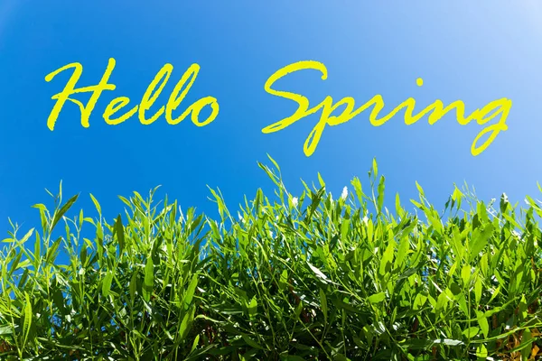 Text Hello Spring Nature Sky Background — Stock Photo, Image