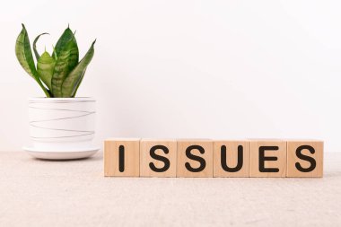 ISSUES kelimesi arka planda tahta küplere yazılır..