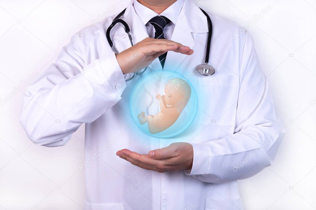 The doctors hands in a protection symbol hold an embryo icon.
