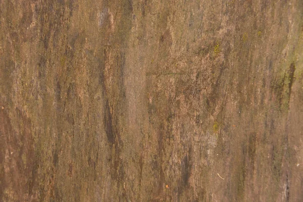 Старая Грубая Натуральная Деревянная Доска Дуба Крупным Планом — стоковое фото