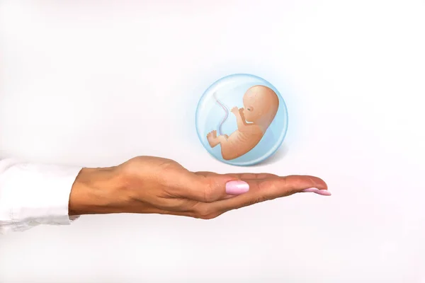 Vrouwelijke Hand Met Een Embryo Icoon Beschermingsconcept — Stockfoto