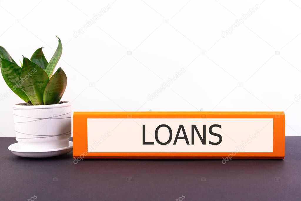LOANS word concept written on a folder lying on a dark table with a flower in a pot on a light background