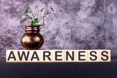 Gri arkaplandaki yapı taşlarıyla yapılmış AVARENESS kelimesi.