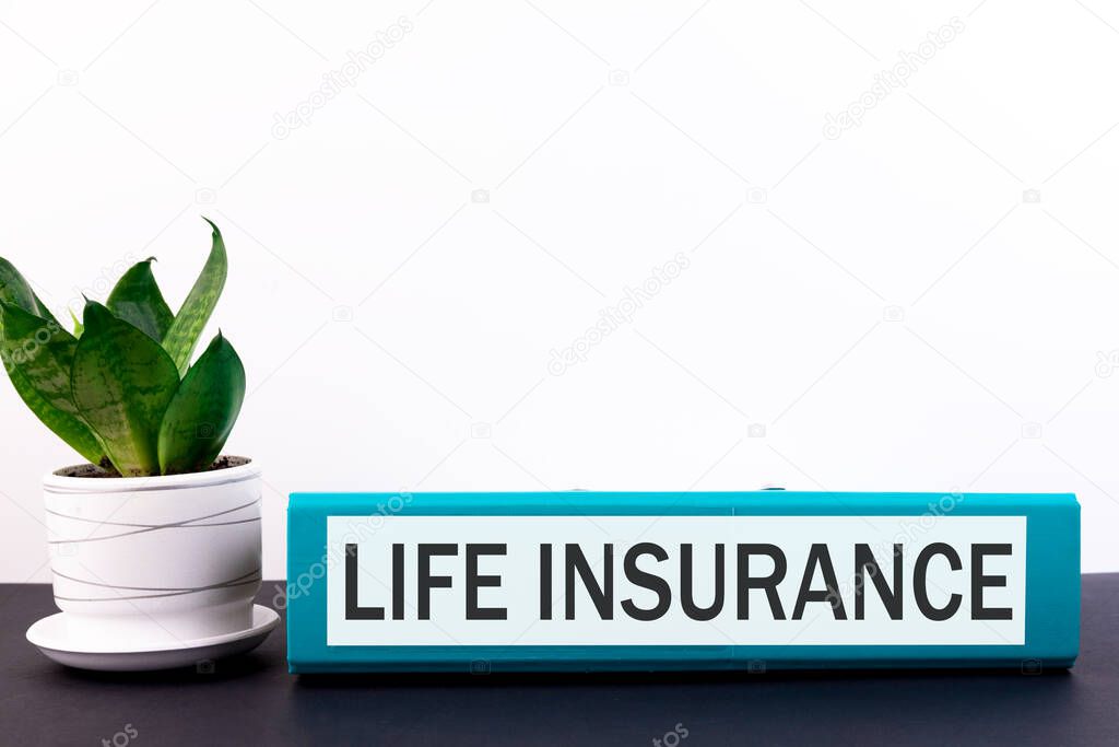 Folder with the text label Life Insuranse lies on a dark table with a flower and a light background.