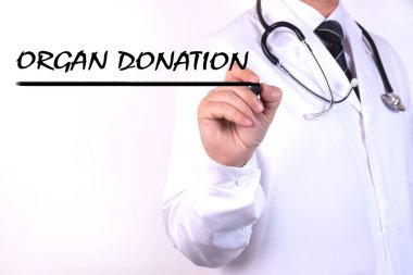 Doktor keçeli kalemle Organ Bağışı yazıyor. Tıbbi konsept..