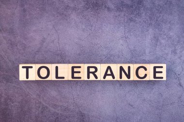 Tahta yapı taşlarından yapılmış TOLERANCE kelimesi.