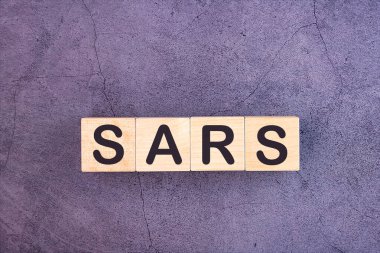 Tahta yapı taşlarından yapılmış SARS kelimesi.