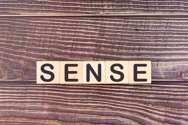 Sense Word Building Blocks Light Background Stock Image