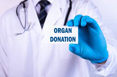 Doktor elinde yazılı Organ Bağışı tıbbi konsepti olan bir kart tutuyor.
