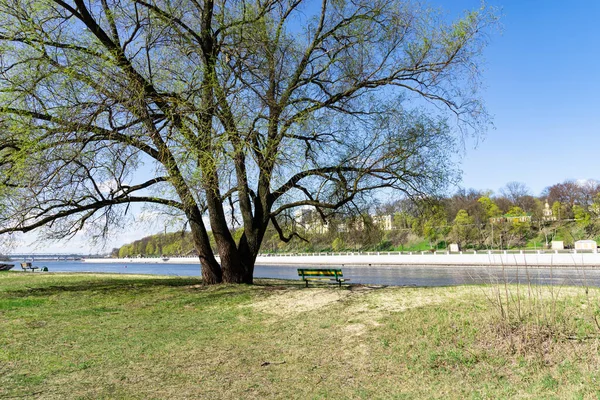 Banc Parc Printemps Par Eau — Photo