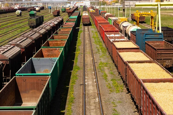 Bir Sürü Tren Vagonu Olan Sanayi Manzarası — Stok fotoğraf