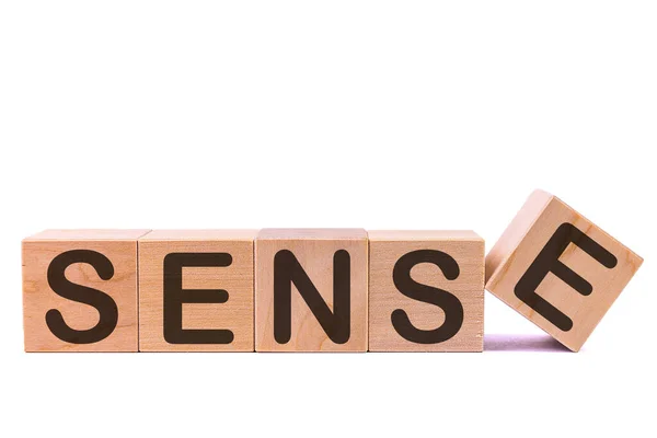 Word Sense Made Wooden Building Blocks Lying Table Light Background Stock Image