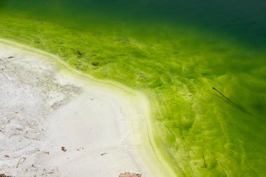 Asit gölü, su, kimyasal olarak kirlenmiş suların boşaltılması. İş ve ekoloji kavramları