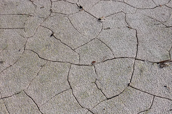 Texture Terre Est Sécheresse Rareté Mondiale Eau Sur Planète Concept — Photo