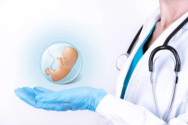 Embriyo Ikonu Olan Bir Kadın Doktor Eli Koruma Kavramı — Stok fotoğraf