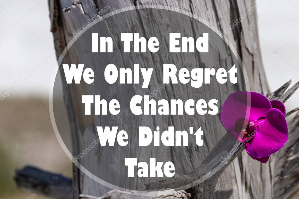 Inspirational quote on a natural landscape background. In The End We Only Regret The Chances We Didn't Take.