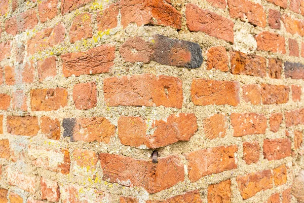 Stara Ceglana Ściana Jest Blisko Cegła Ściana Tekstury Loft Wnętrze — Zdjęcie stockowe