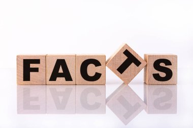 FACTS sözcüğü, beyaz arkaplandaki tahtadan küplere yazılmış yansımalı metin.