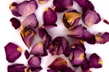 Beyaz kağıda basılı gül yaprakları, klasik ton.