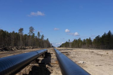 Orman bölgesinde ham petrol ve doğal gaz boru hattı inşaatı. Petrokimya Borusu ahşap desteklerin üstünde. LNG santraline gaz nakli için boru hattı kurulumu ve inşaatı