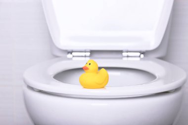 Banyodaki ev tuvaletinin kenarındaki sarı ördeğin plastik modeli..