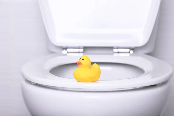 Modelo Plástico Pato Amarillo Borde Blanco Inodoro Baño — Foto de Stock