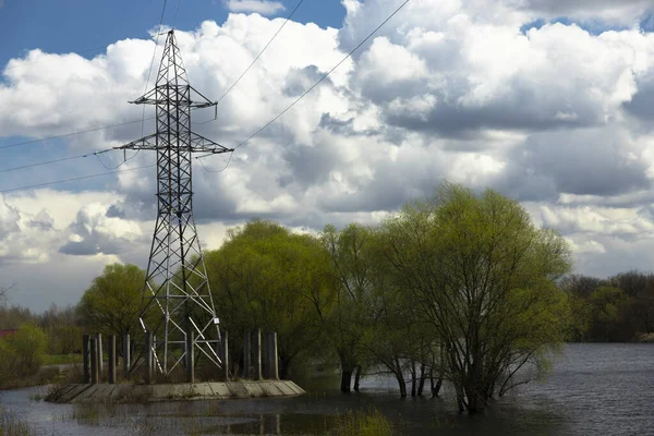 Linhas Energia Postes Árvores São Inundados Durante Inundação Rio — Fotografia de Stock