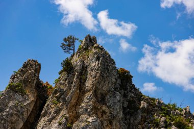 Kızıl kaya, Kırım yarımadasının güney kıyısındaki Gurzuf vadisinde, deniz seviyesinden 430 metre yükseklikte yer alan bir uçurum..