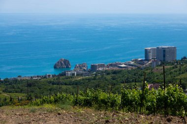 Dağların üzerinden yağmur bulutları ve yeşil üzüm bağı olan bir vadi..