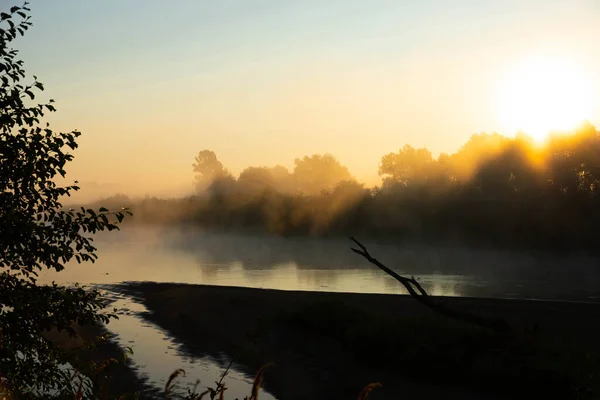 Mañana Brumosa Río Europeo Con Hierba Verde Fresca Sol Los — Foto de Stock