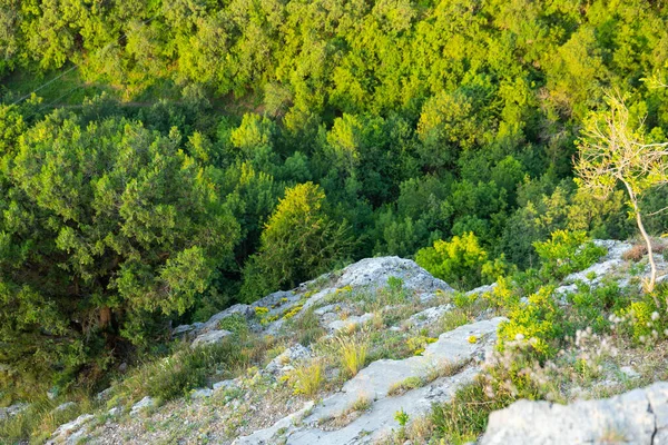 Rocas Salvajes Grises Bosque Verde Salvaje Vista Desde Arriba Paisaje —  Fotos de Stock